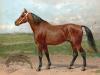 American Race Horse by Eerelman